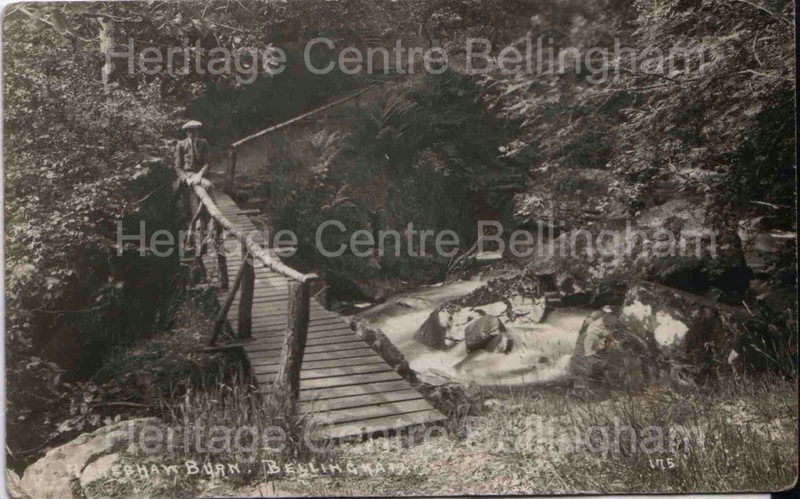 Image from the Heritage Centre Bellingham Collection