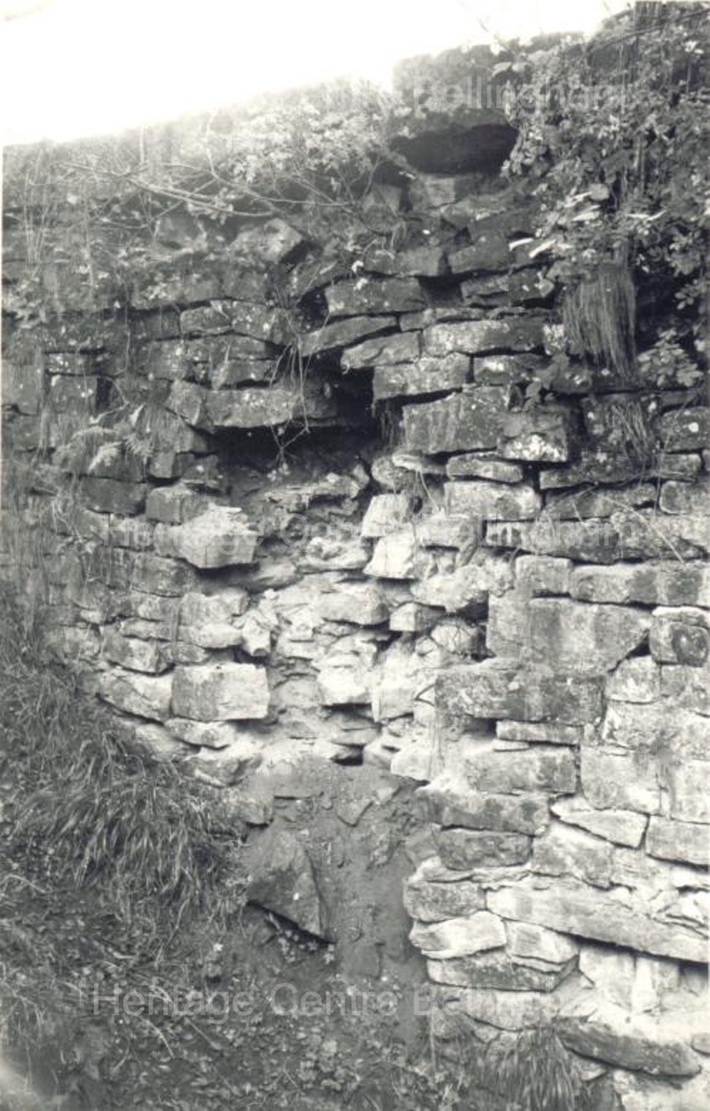 Image from the Heritage Centre Bellingham Collection