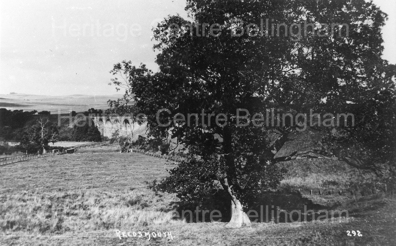 Image from the Heritage Centre Bellingham Collection