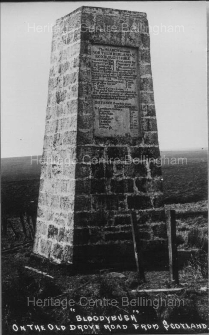 Image from the Heritage Centre Bellingham Collection