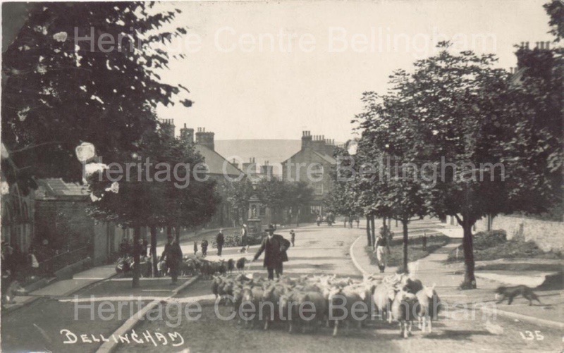 Image from the Heritage Centre Bellingham Collection