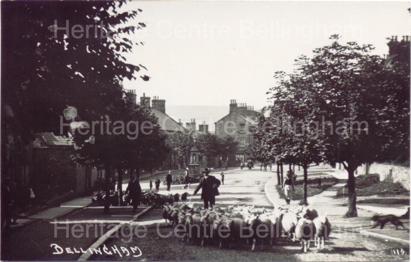 Image from the Heritage Centre Bellingham Collection Image from the Heritage Centre Bellingham Collection