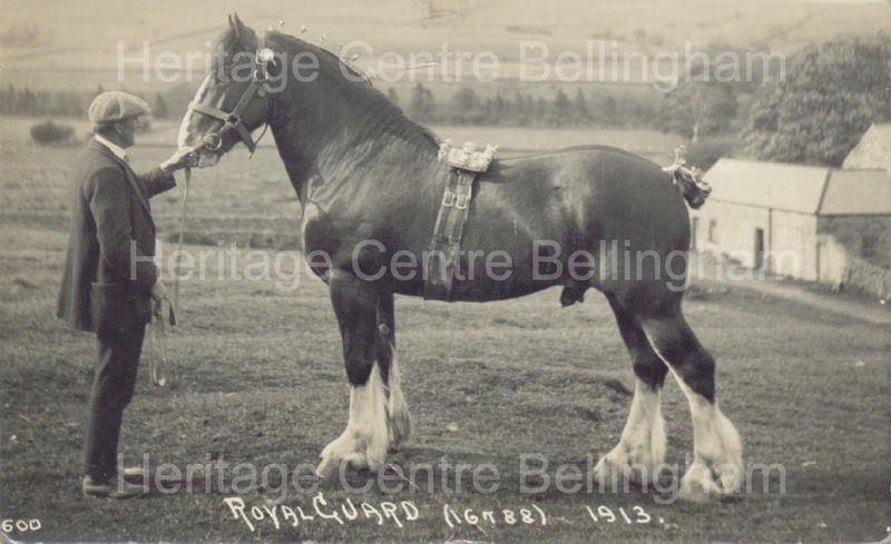 Image from the Heritage Centre Bellingham Collection