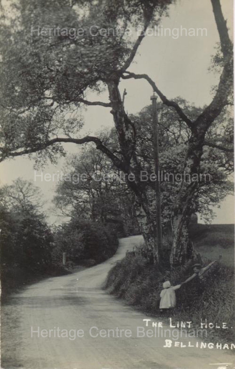 Image from the Heritage Centre Bellingham Collection